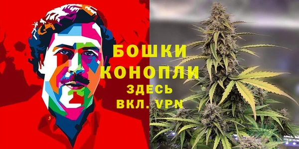 прущая мука Белокуриха